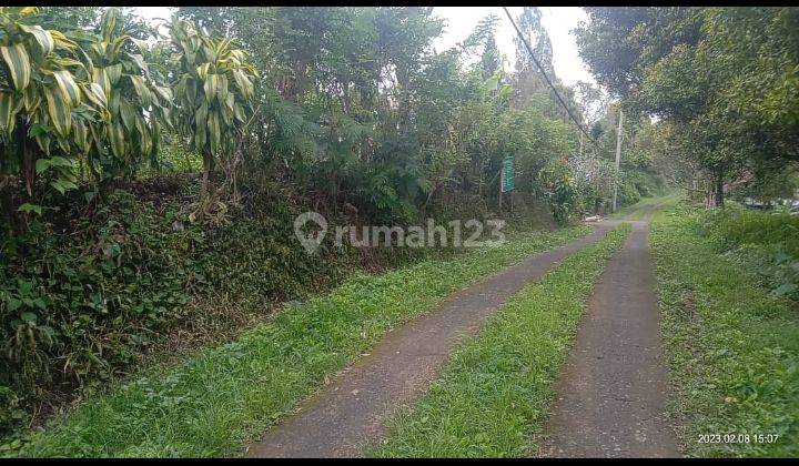 Dijual tanah 1,44ha view laut @munduk, buleleng, Bali 8