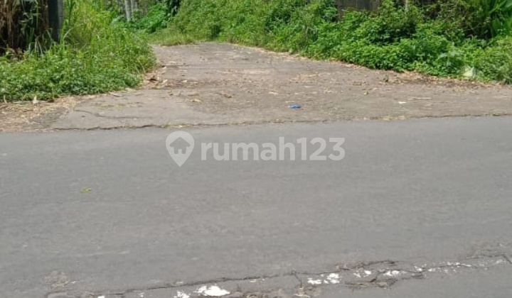 Dijual tanah 3,17ha mata air & view laut @wanagiri, buleleng, Bali 7