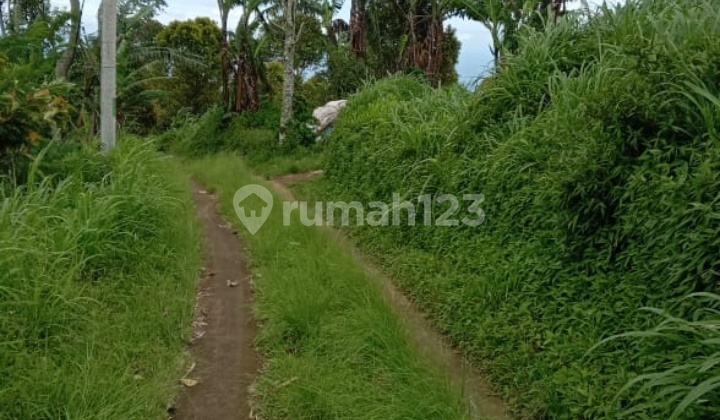 Dijual tanah 3,17ha mata air & view laut @wanagiri, buleleng, Bali 9