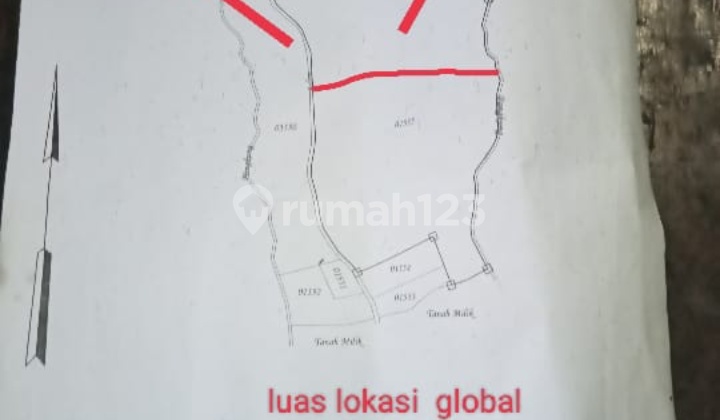 Dijual tanah 3,17ha mata air & view laut @wanagiri, buleleng, Bali 11