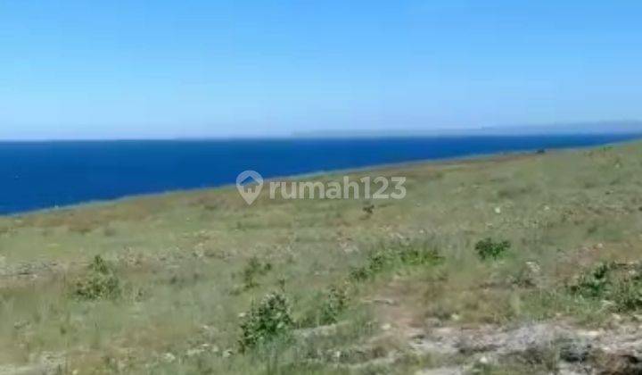Dijual tanah Loss pantai @Sumba Timur, NTT 5