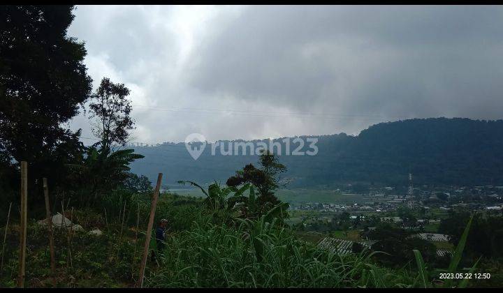 Dijual tanah view danau buyan @pancasari, bedugul, Bali 1