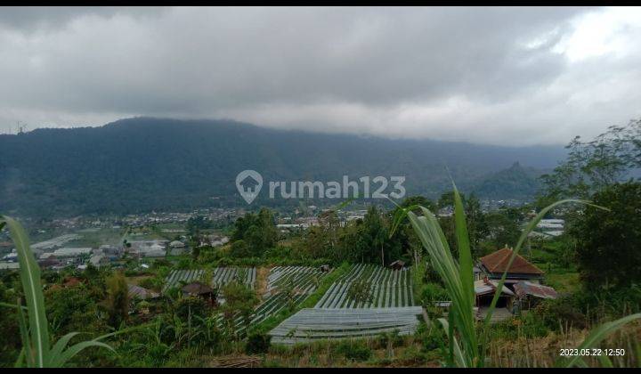 Dijual tanah view danau buyan @pancasari, bedugul, Bali 2