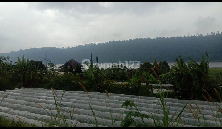 Dijual tanah full view danau buyan @bedugul, Bali 1