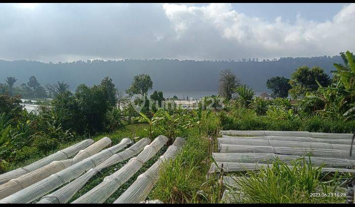 Dijual tanah kotak view danau buyan @pancasari, bedugul 1