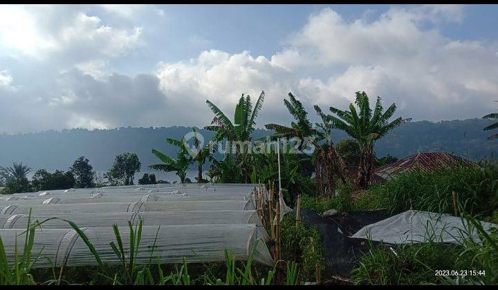 Dijual tanah kotak view danau buyan @pancasari, bedugul 2