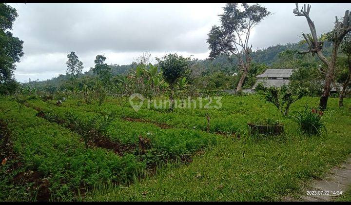 Dijual tanah 2,4ha @baturiti, Tabanan, Bali 1