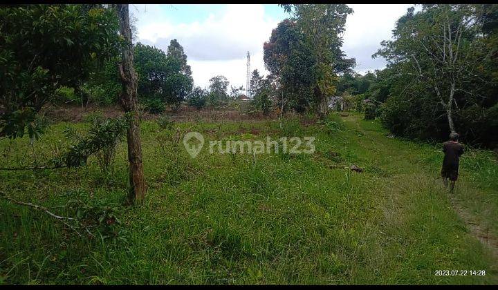 Dijual tanah 2,4ha @baturiti, Tabanan, Bali 2