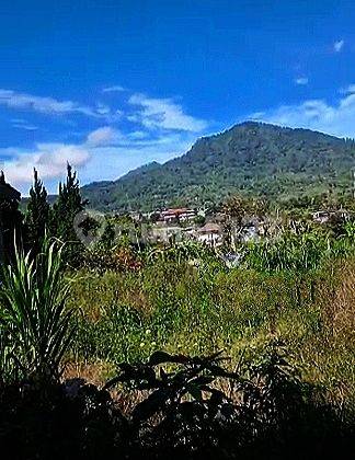 Dijual tanah samping Bali Handara, Bedugul, Bali 2