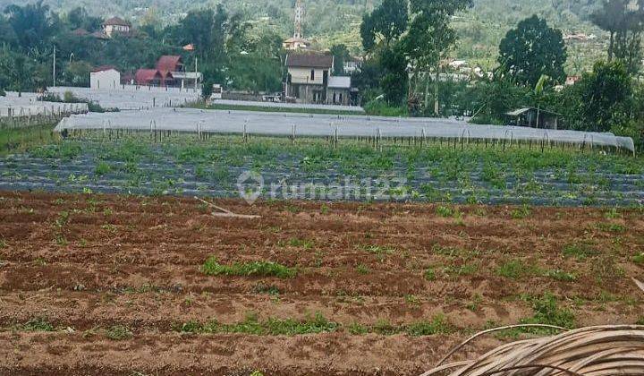 Dijual tanah dekat danau buyan, Bedugul, Bali 1