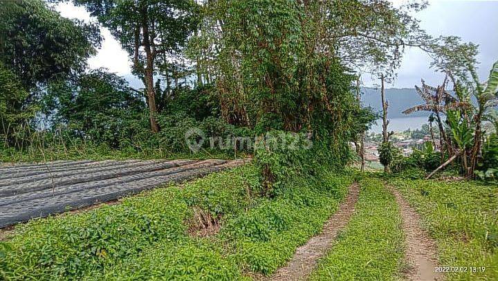 Disewakan Tanah 80are Sebelah Kebun Raya @bedugul, Bali 2