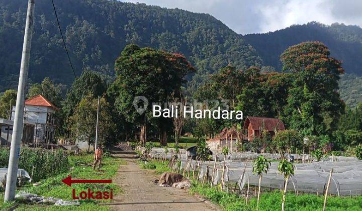 Dijual Tanah kavling 4are, dekat Bali Handara, Bedugul, Bali 2