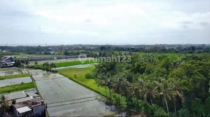 Land ready for sale @yeh gangga, Tabanan, Bali 1