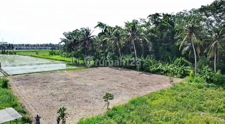 Land ready for sale @yeh gangga, Tabanan, Bali 2