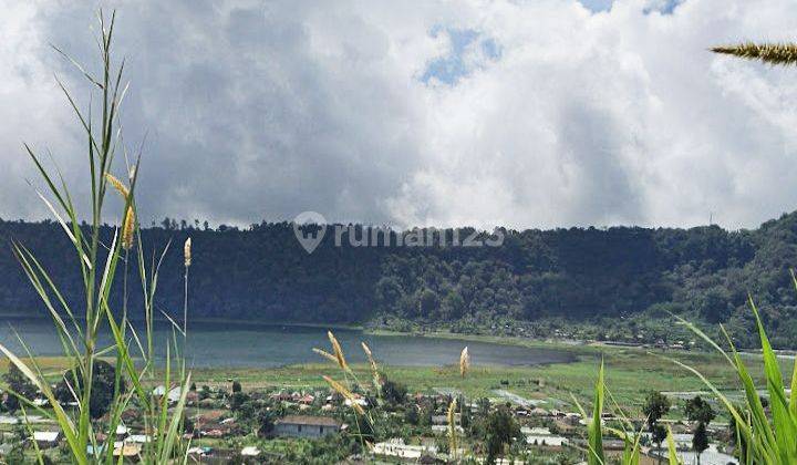 Land for rent with view of Buyan Lake, @Bedugul, Bali 1