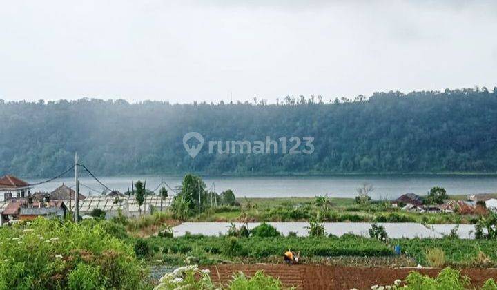 Land for rent with view of Buyan Lake, @Bedugul, Bali 2