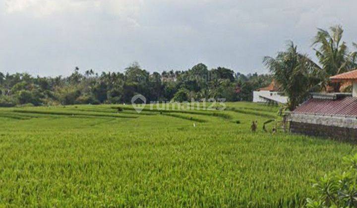 Dijual Tanah View Sawah @cemagi, Badung, Bali 1