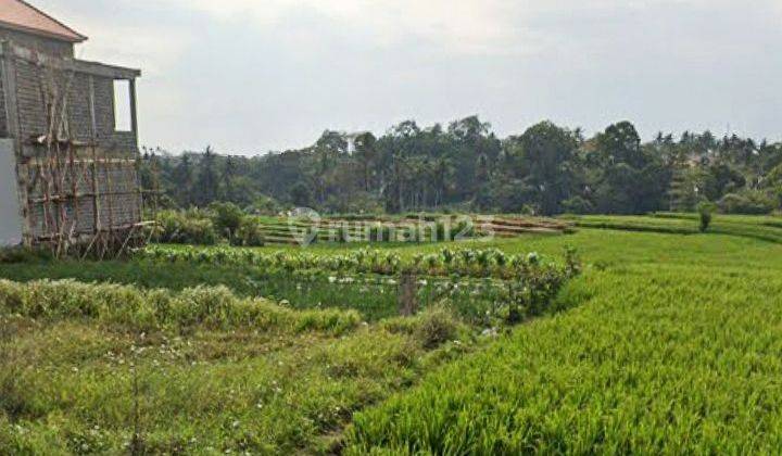 Dijual Tanah View Sawah @cemagi, Badung, Bali 2