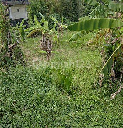 Land for sale near the beach @Yeh Gangga, Tabanan, Bali 1