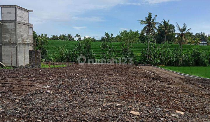 Land for Sale with Rice Field View @Yeh Gangga, Tabanan 1