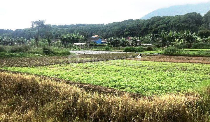 Dijual Tanah 2,65are Dekat Kebun Raya Bedugul Bali