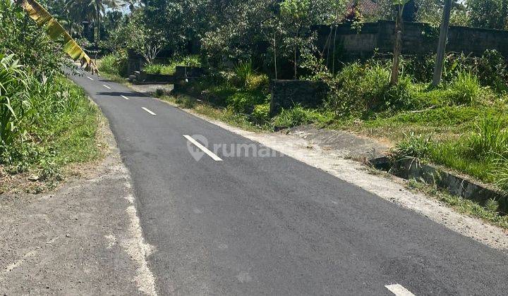 Buc Dijual Tanah Kebun Durian 27are @marga, Tabanan 1
