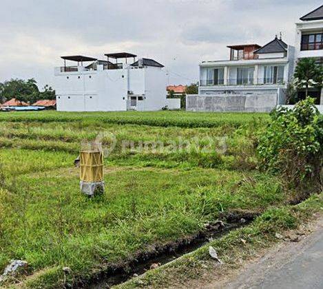 For Rent Land 46are View Rice Fields @Cemagi, Bali 2