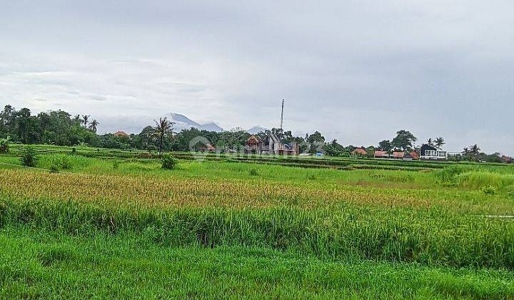 Dijual Tanah Kavling, Dekat Ke Pantai @kedungu, Tabanan, Bali 1