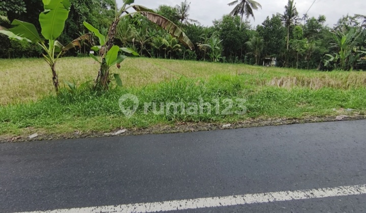 Dijual Tanah 10,4are @dajan Peken Tabanan Kota