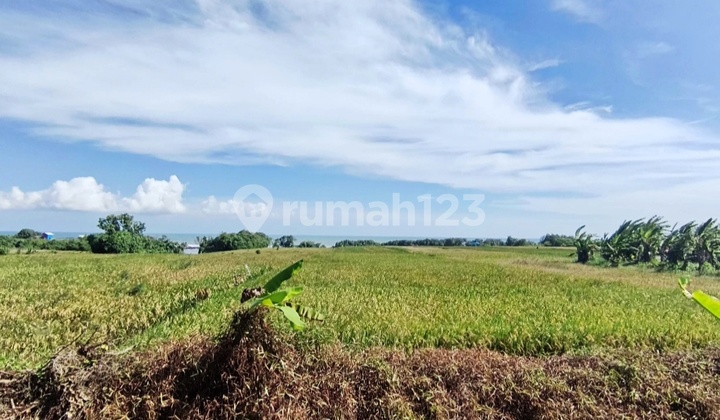 Beachfront Land For Sale @tibubiu Tabanan Bali 2