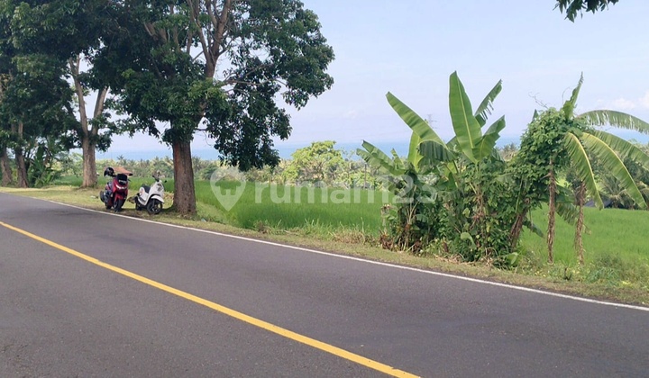 Plot for Sale 31.8 ares Main Road @antap Selemadeg Tabanan