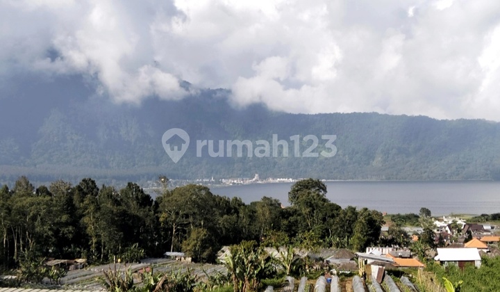 Dijual Tanah 1,7ha View Danau Beratan @bedugul Bali