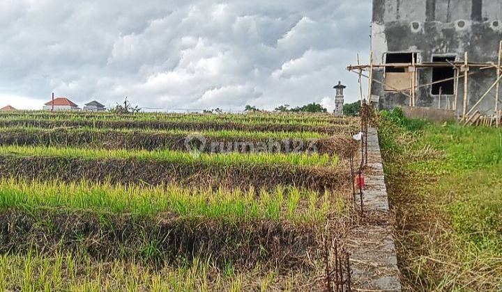 Land for Sale with Rice Field View @Yeh Gangga, Tabanan 2