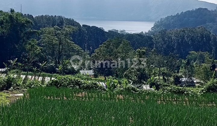 Dijual Tanah 99 Are View Danau Beratan @bedugul Bali