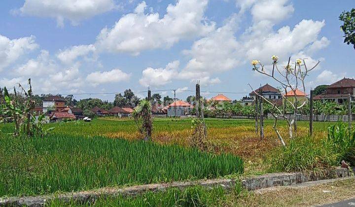 For Sale Land 28are Suitable In Plot @ Abiansemal, Badung 1