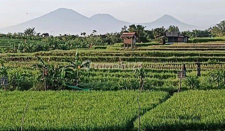 For Sale 7 are Land View Sunset, Rice Fields, Mountains @ Kerobokan, Bali 2