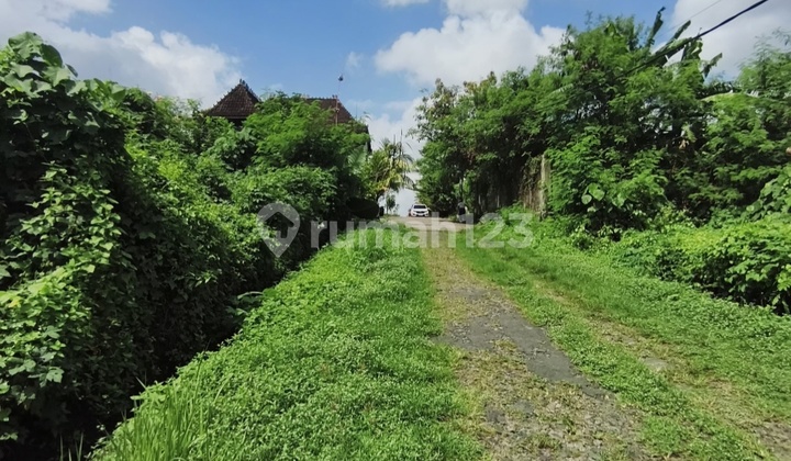 Dijual Tanah 6,9are Area Villa @nyitdah Tabanan