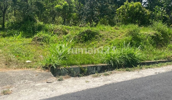 Buc Dijual Tanah Kebun Durian 27are @marga, Tabanan 2