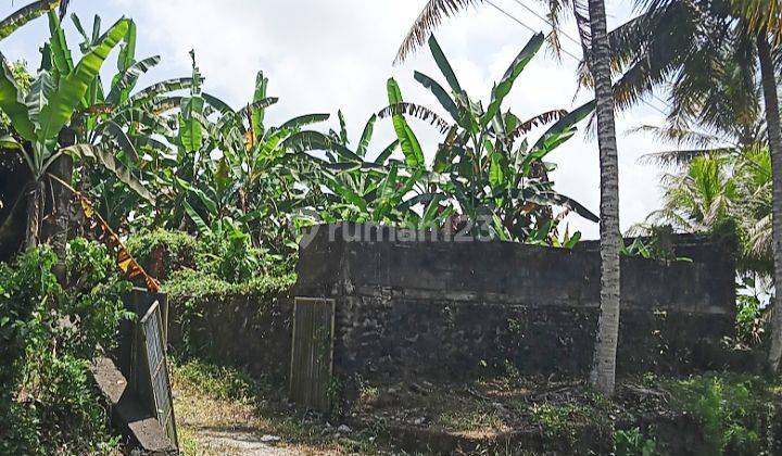 BUC Land for sale 10are @Gulingan, Mengwi, Bali 2