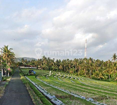 Buc Dijual Tanah Dekat Pantai @lalanglinggah, Tabanan 2