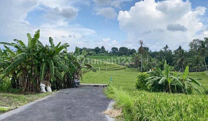 Dijual Tanah 1,83are @Tumbak Bayuh, Dekat Canggu, Bali 1