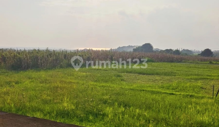 For Sale 5 Are Small Rare Land with Ocean View @Kelating Tabanan