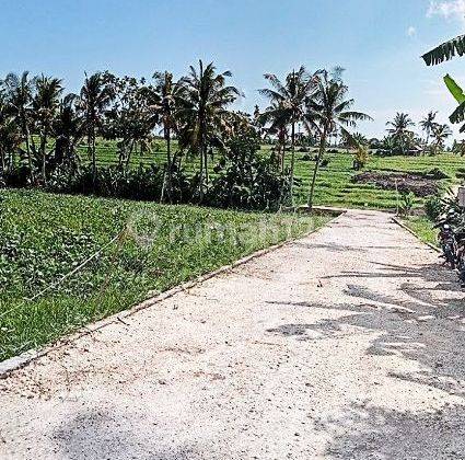 Dijual Kavlingan 2-8are View Sawah @Pantai Nyanyi, Tabanan, Bali 1