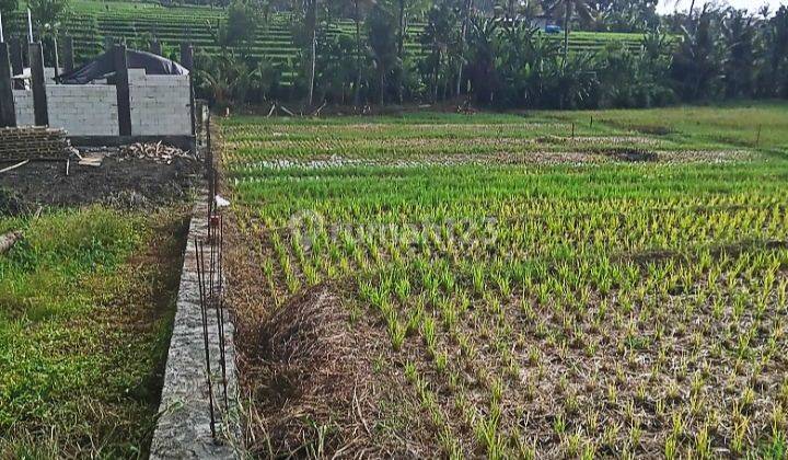 Land for Sale with Rice Field View @Yeh Gangga, Tabanan 1