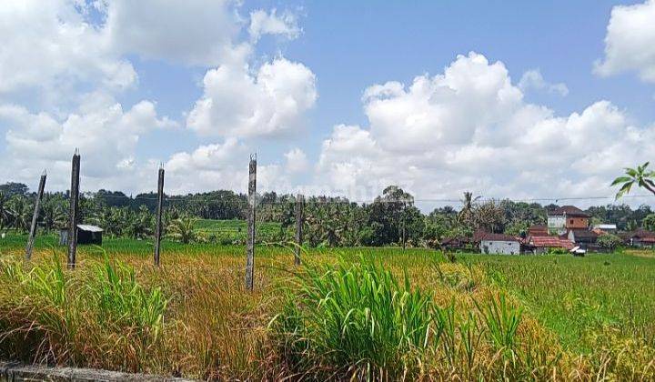 For Sale Land 28are Suitable In Plot @ Abiansemal, Badung 2