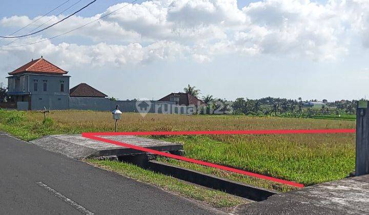 For Sale 20 are Land Suitable for Plot @ Baha, Mengwi 2