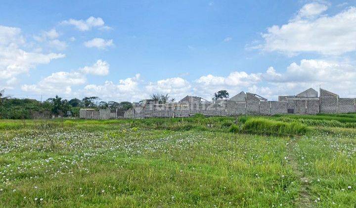 For sale 5-acre plot near the beach @Seseh, Bali 1