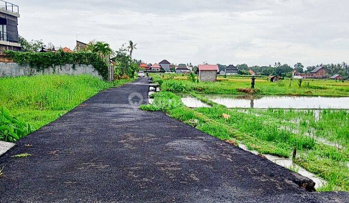 Dijual Tanah Kavling, Dekat Ke Pantai @kedungu, Tabanan, Bali 2