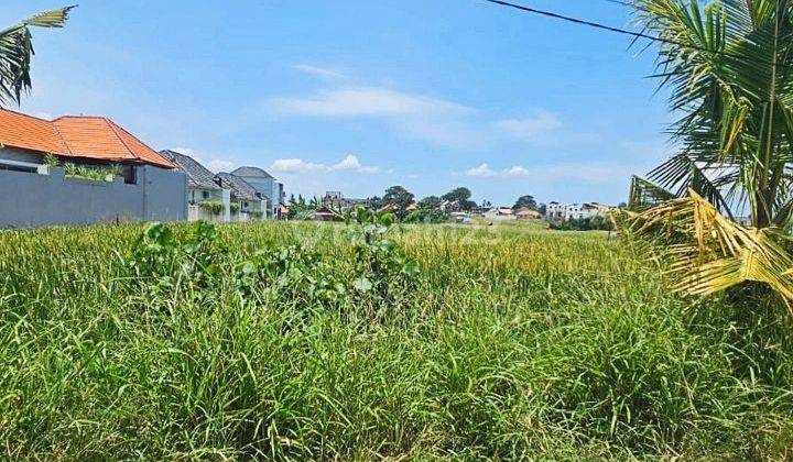 For Rent 25are Land Near Beach @cemagi, Bali 2