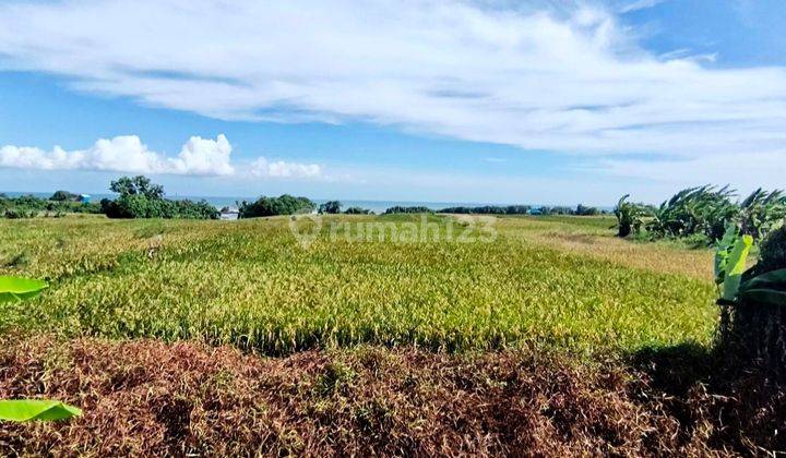 Beachfront Land For Sale @tibubiu Tabanan Bali 1